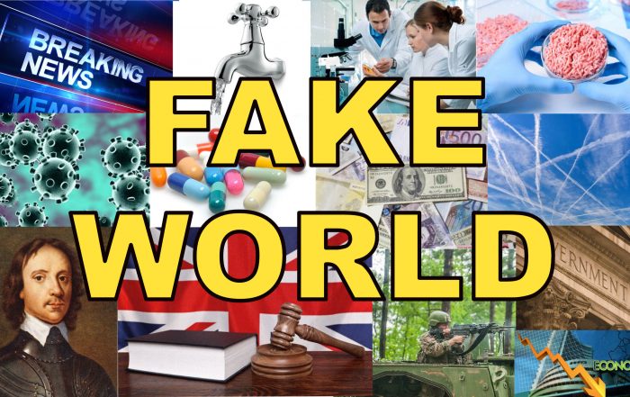 Fake World Banner