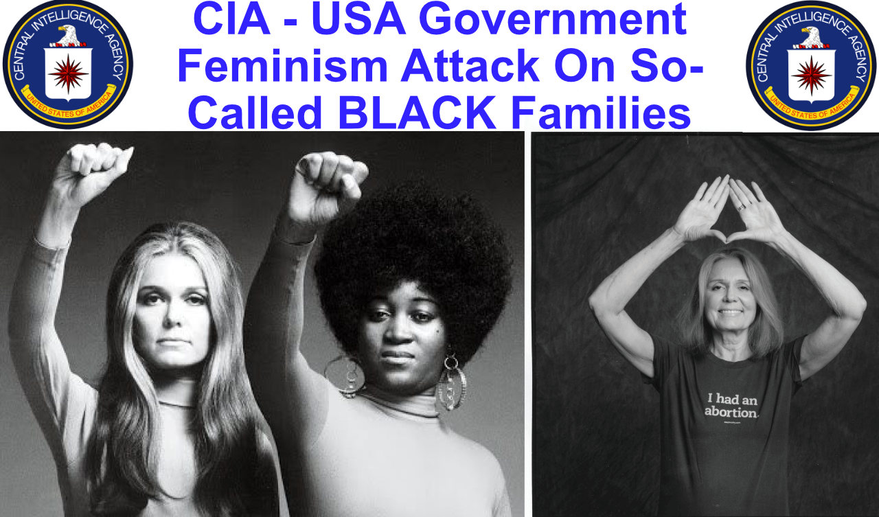 CIA - USA Government Feminism Attack On So-Called BLACK Families